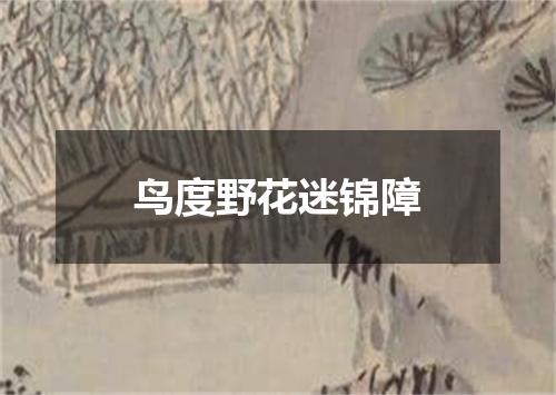 鸟度野花迷锦障