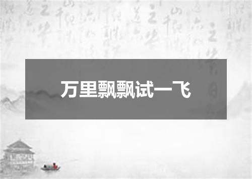 万里飘飘试一飞
