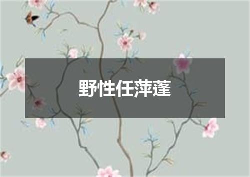 野性任萍蓬