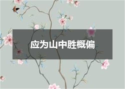 应为山中胜概偏