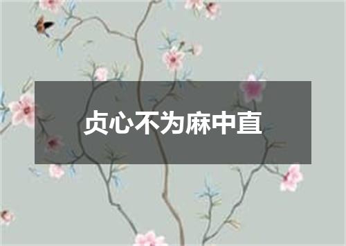 贞心不为麻中直