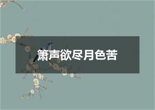 箫声欲尽月色苦