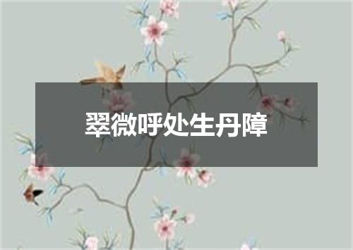 翠微呼处生丹障