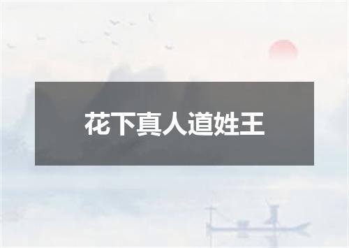 花下真人道姓王