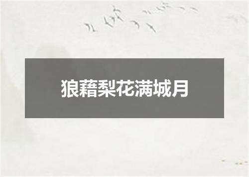 狼藉梨花满城月