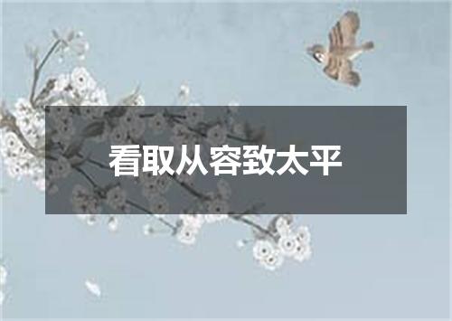 看取从容致太平