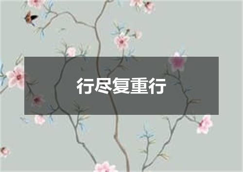 行尽复重行