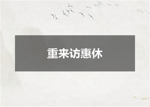 重来访惠休