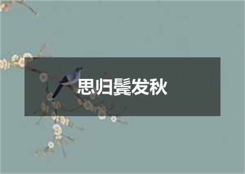思归鬓发秋
