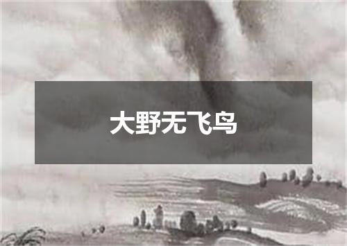 大野无飞鸟