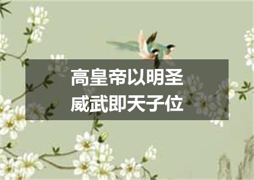高皇帝以明圣威武即天子位