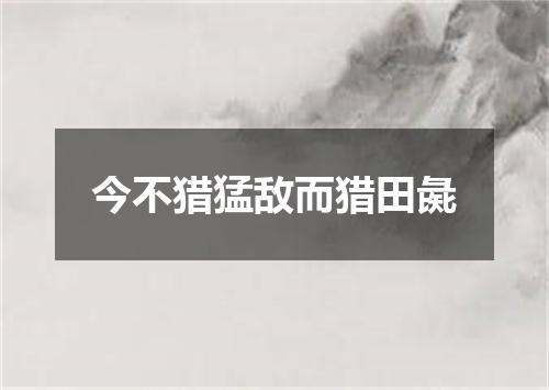 今不猎猛敌而猎田彘
