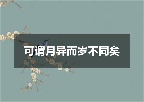 可谓月异而岁不同矣