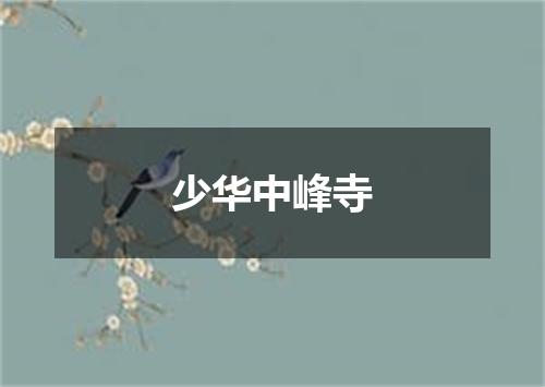 少华中峰寺