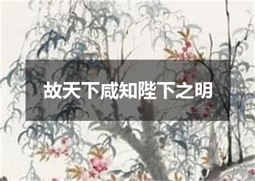 故天下咸知陛下之明