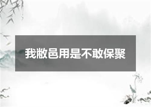 我敝邑用是不敢保聚