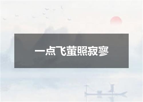一点飞萤照寂寥