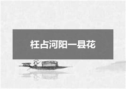 枉占河阳一县花