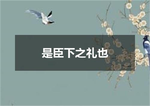 是臣下之礼也