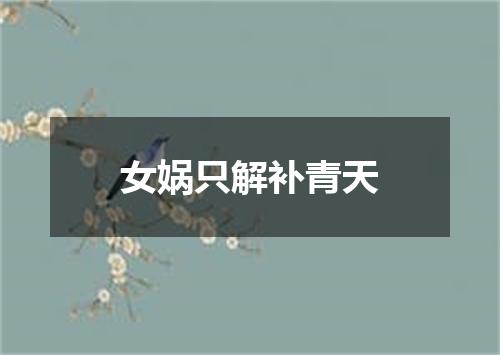 女娲只解补青天