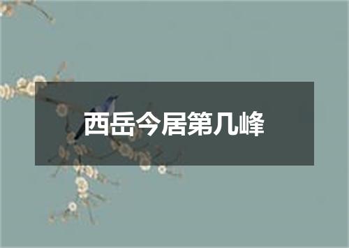 西岳今居第几峰