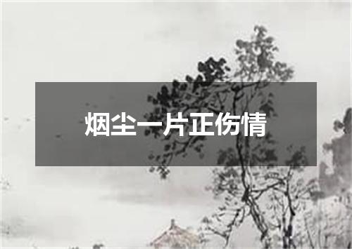 烟尘一片正伤情