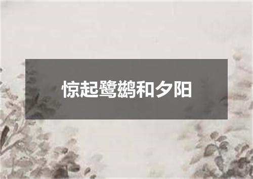 惊起鹭鹚和夕阳