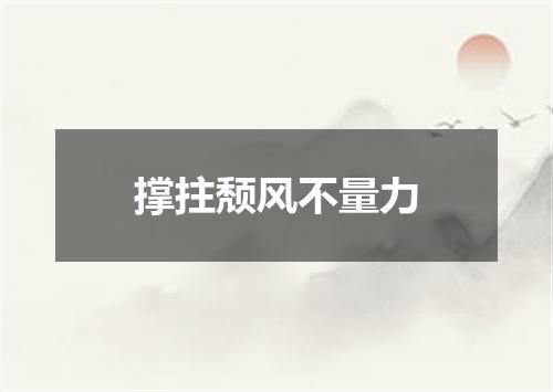 撑拄颓风不量力