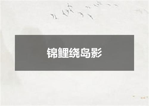 锦鲤绕岛影