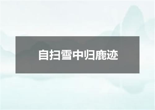 自扫雪中归鹿迹