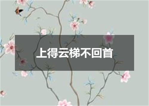 上得云梯不回首