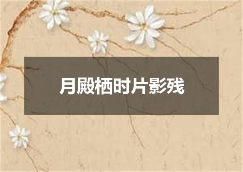 月殿栖时片影残