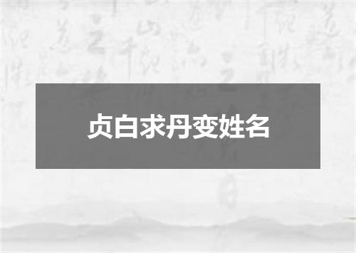 贞白求丹变姓名