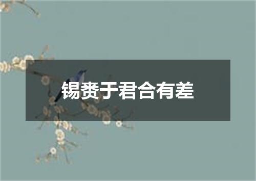 锡赉于君合有差