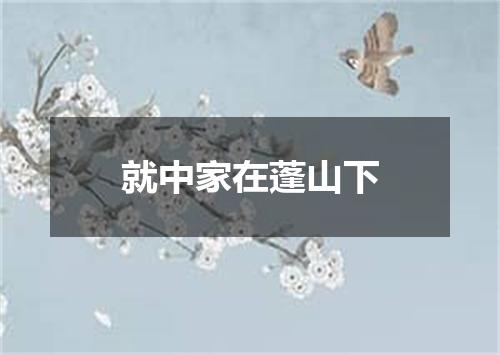 就中家在蓬山下