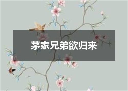 茅家兄弟欲归来