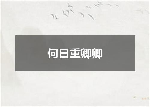 何日重卿卿