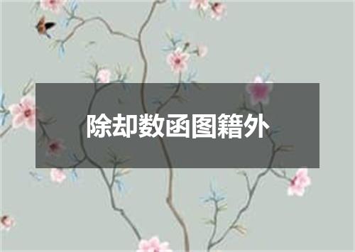 除却数函图籍外