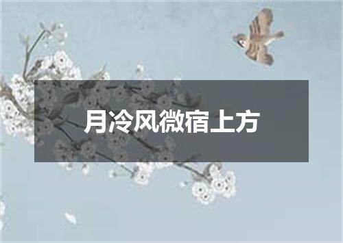 月冷风微宿上方