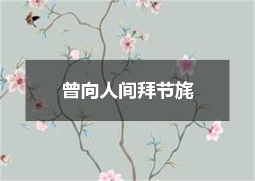 曾向人间拜节旄
