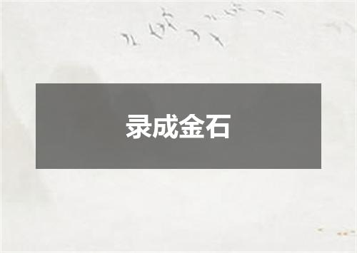 录成金石