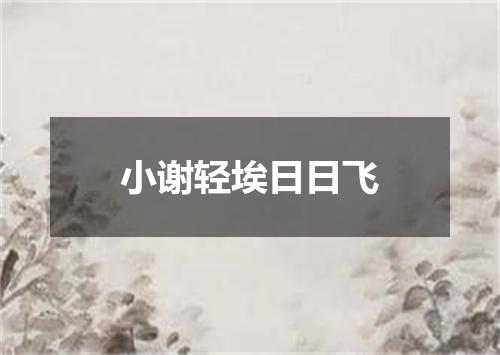 小谢轻埃日日飞