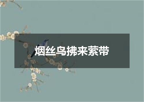 烟丝鸟拂来萦带