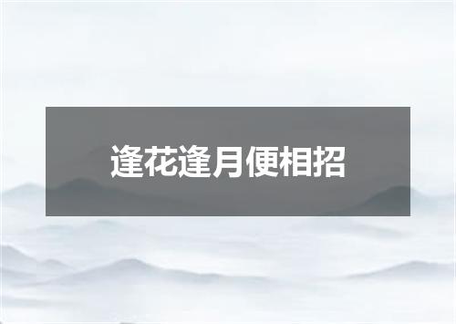 逢花逢月便相招