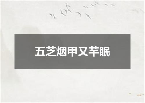 五芝烟甲又芊眠