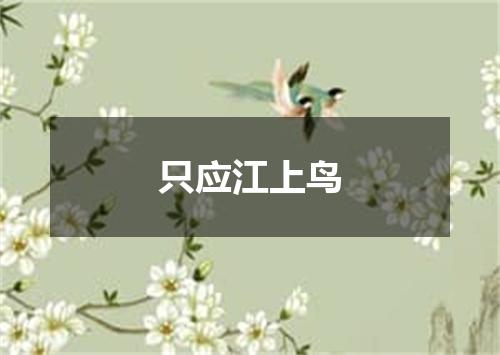 只应江上鸟