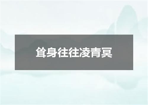 耸身往往凌青冥
