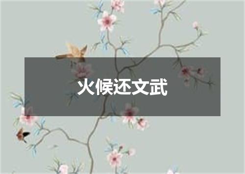 火候还文武