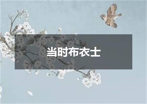 当时布衣士