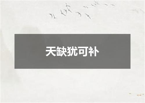 天缺犹可补